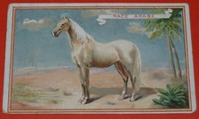 Chromo 1890 1914 d'occasion  Vendat