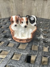 Royal doulton terrier for sale  FAVERSHAM