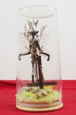 Mummified fairy sculpture for sale  Mansfield