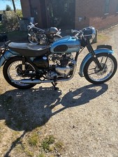 1955 triumph t100 for sale  DERBY