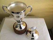 Henkel pokal hne gebraucht kaufen  Grävenwiesbach