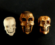 Stck skull schädel gebraucht kaufen  Wiesenburg