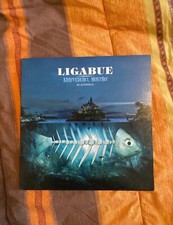 Vinile ligabue arrivederci usato  Cernusco sul Naviglio