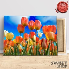 Quadro moderno tulipani usato  Viu