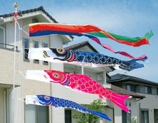 Tarif inclus nylon d'occasion  Expédié en France