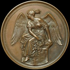 Geflügel bronze medaille gebraucht kaufen  Großröhrsdorf