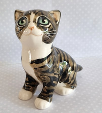 Brown tabby kitten for sale  LITTLEHAMPTON