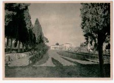 San giovanni rotondo usato  Italia