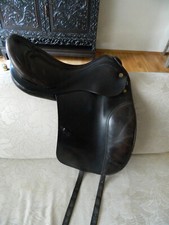 Prestige appaloosa dressur gebraucht kaufen  Schwanstetten