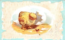 Chick and bee d'occasion  Expédié en Belgium