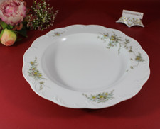 Rosenthal monbijou grüne gebraucht kaufen  Selb