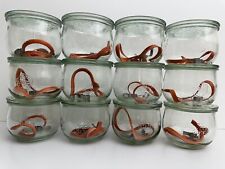 Weck gläser 12x gebraucht kaufen  Göttingen