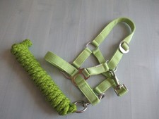 shetty pony gebraucht kaufen shetty pony gebraucht kaufen Weiden