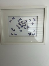 Blue butterflies photo for sale  HERTFORD