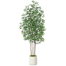 Ficus artificial tree for sale  Seattle