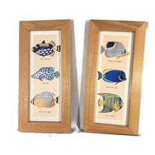 Tropical fish framed for sale  Porter