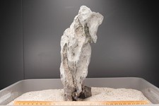 Seiryu rock aquarium gebraucht kaufen  Odenthal