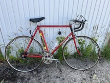 Raleigh europa men for sale  BRISTOL