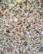 500g natürlicher muschelsand gebraucht kaufen  Ellwangen (Jagst)