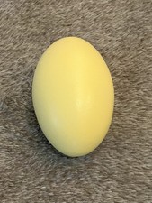 Ausgeblasenes nandu cm gebraucht kaufen  Nentershausen