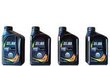 Litri olio selenia usato  Roma