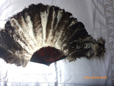 Fabulous ostrich feather for sale  ALSTON