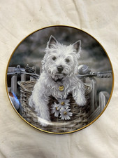 Danbury mint westie for sale Danbury mint westie for sale  DARLINGTON