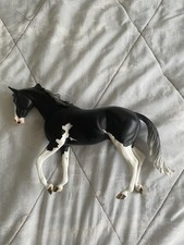 Peter stone thoroughbred for sale  Niceville