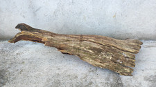 tronco legno usato tronco legno usato Valdilana