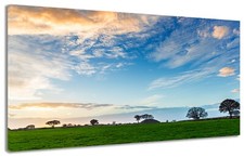 Quadro moderno prato usato  Monopoli