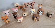 Lot petshop d'occasion  Migennes