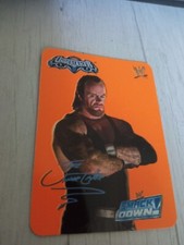 The undertaker wrestling usato  San Giovanni in Persiceto