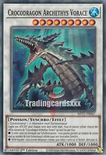 Crocodragon archethys vorace d'occasion  Argenteuil