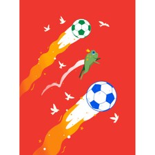 Football soccer frog for sale  EDINBURGH