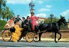 Animaux chevaux espagne d'occasion Animaux chevaux espagne d'occasion  Fruges