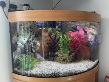 Juwel trigon 190 for sale  TEIGNMOUTH
