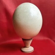 Antique naturalized ostrich d'occasion  Expédié en Belgium