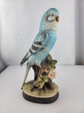 10.5 ligh blue for sale  Titusville