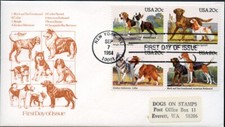 Boston terrier beagle for sale  UK