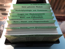 Muskelsystem 303 lernkärtchen gebraucht kaufen  Bremen