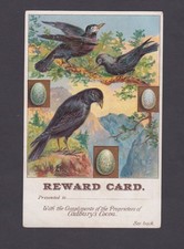 Card british birds for sale  WEYMOUTH