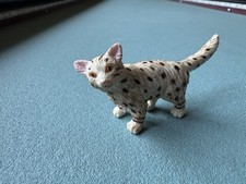 egyptian mau for sale  Morgan Hill
