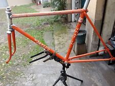 Telaio bici torpado usato  Torino