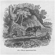 Welsh agricultural cart for sale  GLASGOW