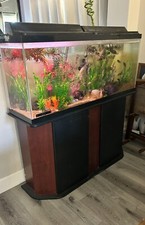 Complete aquarium fish d'occasion  Expédié en Belgium