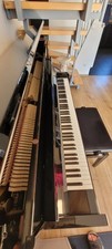 Wunderschönes euterpe piano gebraucht kaufen  Mering