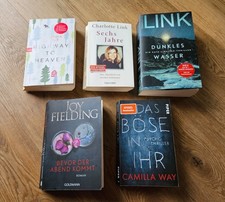 Lesestoff bücher thriller gebraucht kaufen  Seligenstadt