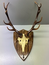 Vintage plastic mounted for sale  Oyster Bay