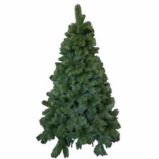 Albero natale himalaya usato  Ceprano