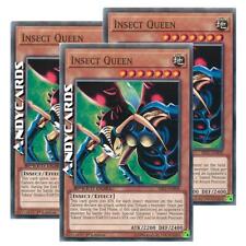 Insect queen comune usato  Ravenna